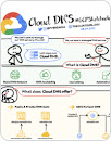 sketch of DNS explained