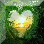 Cover Image of Download Love Images of nature 2.3 APK