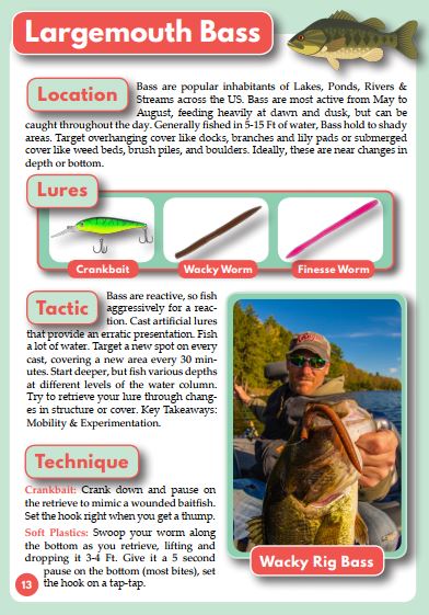 How to Fish Ebook PDF Freshwater Fishing for Beginners