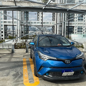 C-HR ZYX10