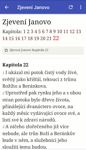 Czech Holy Bible