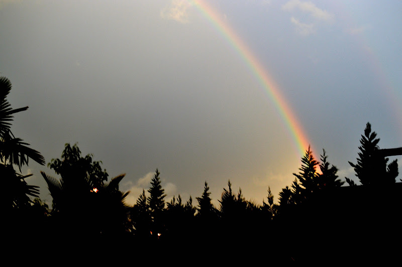 After the rain, there's always rainbow di utente cancellato