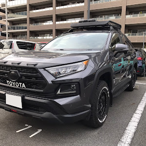 RAV4 MXAA54