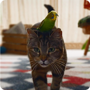 Parrot and Cat Friends LiveWP  Icon