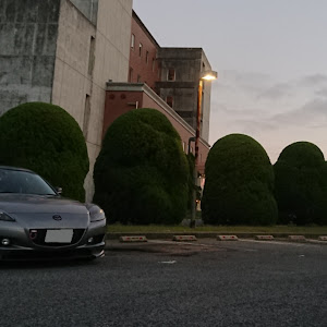 RX-8