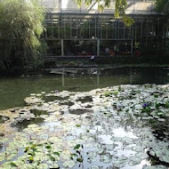 菁芳園 Tenway Garden／花園餐廳／落羽松