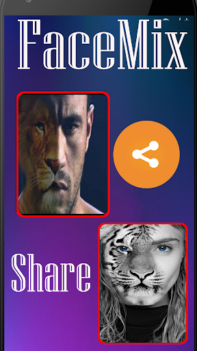 FaceMix:Animal Face Morphing