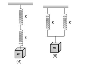 Spring-Mass System