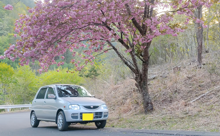 の投稿画像1枚目