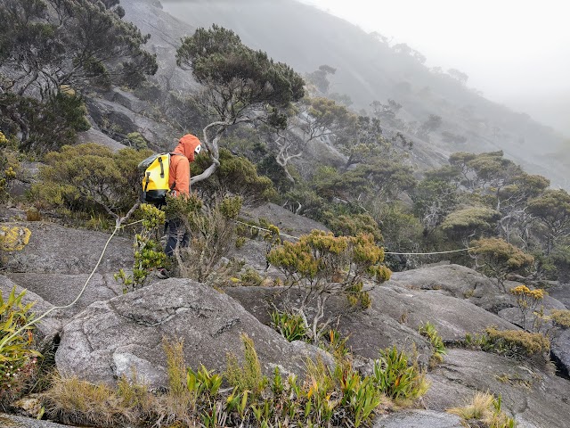 Mount Kinabalu Via Ferrata Lows Peak Circuit