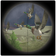 Jungle Birds Sniper Hunting  Icon