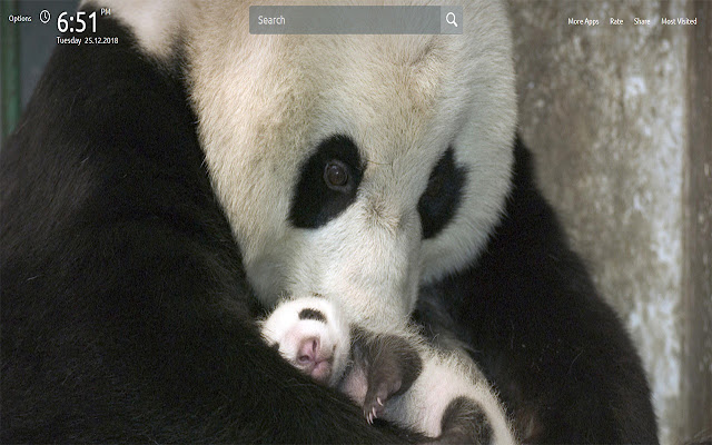 Cute Panda Wallpapers Theme New Tab