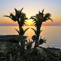 Gemelli al tramonto di 