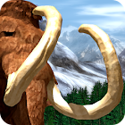 Wildlife Park: Wild Creatures 1.0.37