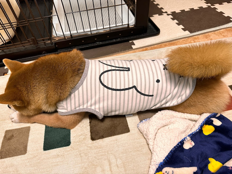 タントカスタムのカフェ巡り・まったり休日に関するカスタム事例の投稿画像9枚目