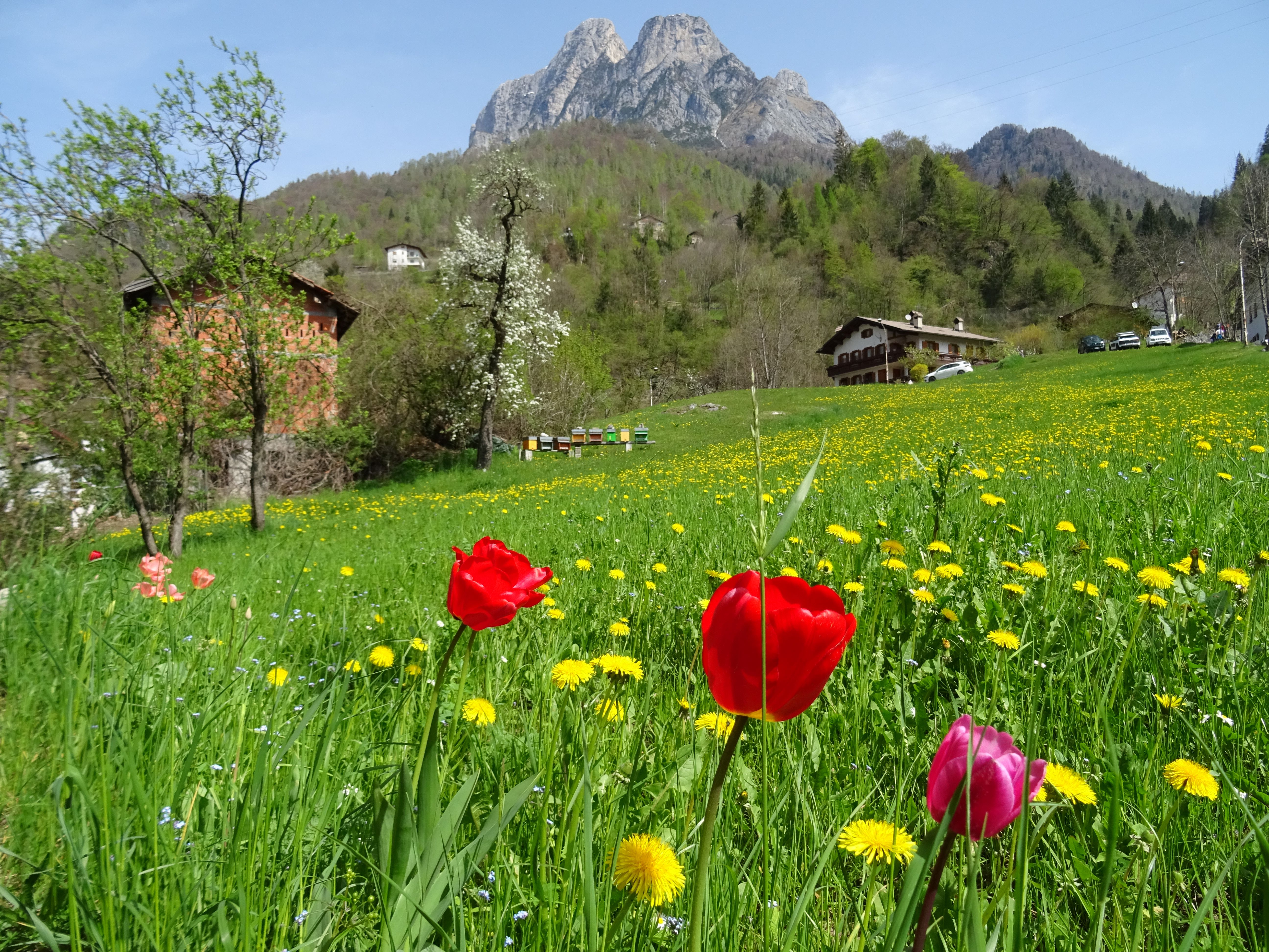 Scorcio primaverile tra le Dolomiti di lenuccia4