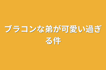 ブラコンな弟が可愛い過ぎる件