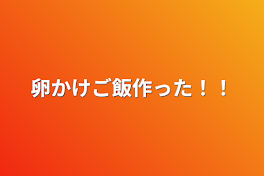 卵かけご飯作った！！