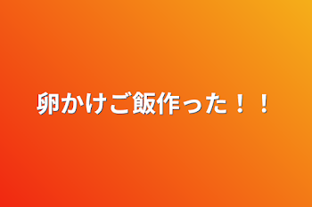 卵かけご飯作った！！