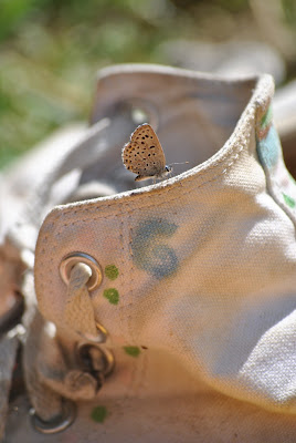 Scarpa con ospite di Alirubamele