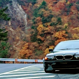 325i Mスポーツ