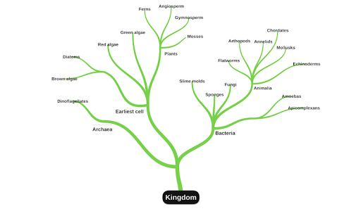 miMind - Easy Mind Mapping