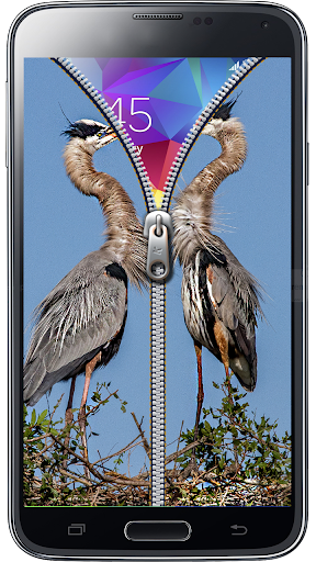 免費下載生活APP|Bird Zipper Screen Lock app開箱文|APP開箱王