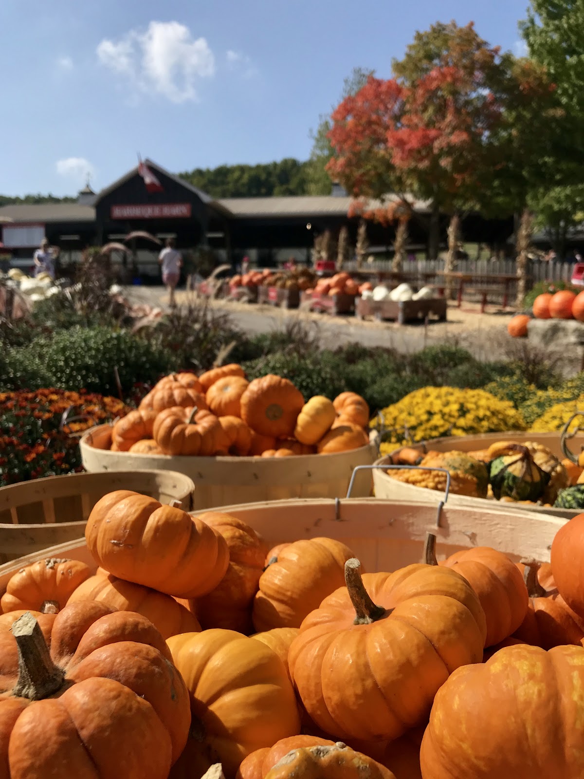 farm tours ontario