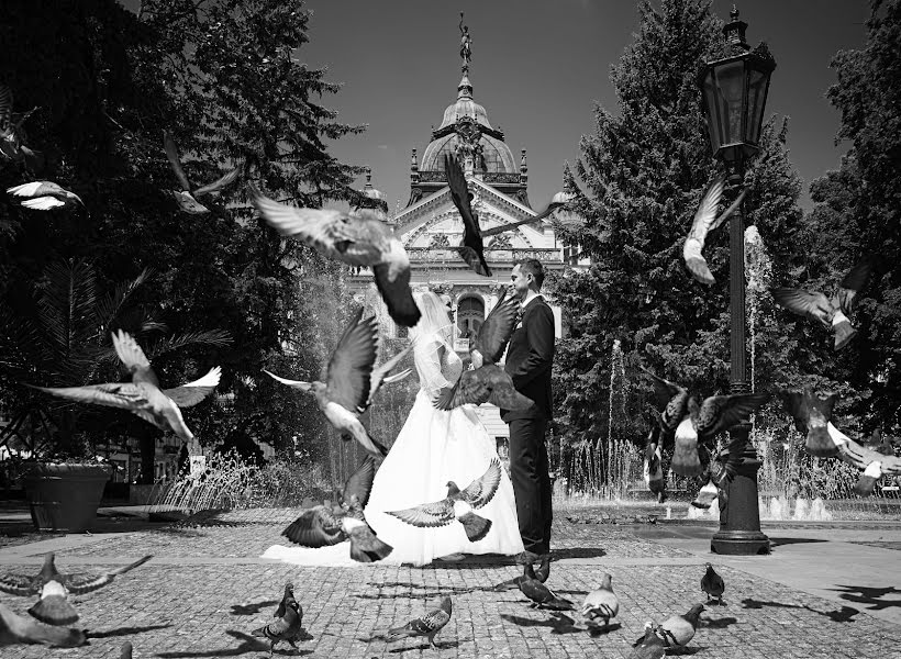 Fotografo di matrimoni Miqo Cash (miqocash). Foto del 9 maggio 2020