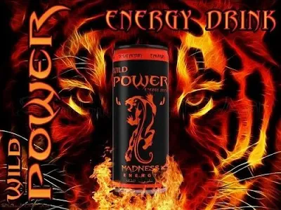 Wild Stone Wild Power Energy Drink 250 Ml