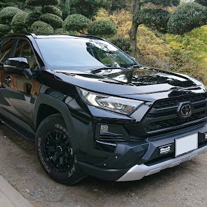 RAV4 MXAA54