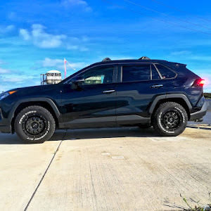 RAV4 MXAA54