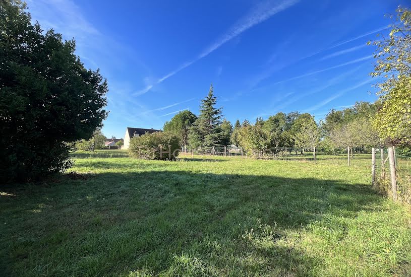  Vente Terrain agricole - 1 383m² à Le Poinçonnet (36330) 