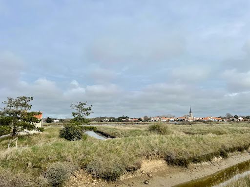 Vente terrain  13875 m² à L'Ile-d'Olonne (85340), 36 000 €