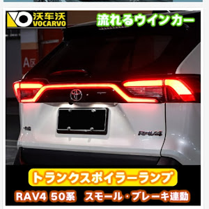 RAV4 AXAH52