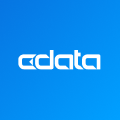 CData SSO