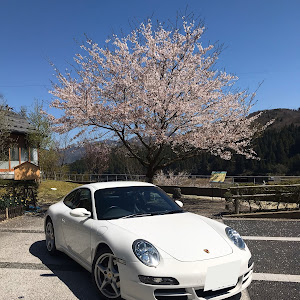 911 クーペ 99705