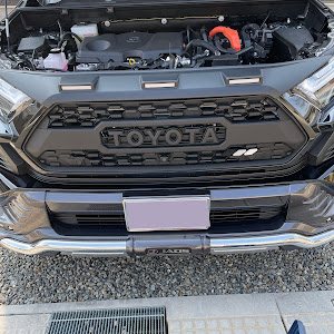 Taco vinyl グリルバッジ グレー 灰 RAV4 gray scheme