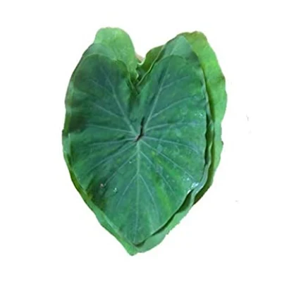 Starfresh Colocassia(Arbi) Leaves Bunch Prepack About 150 Gm