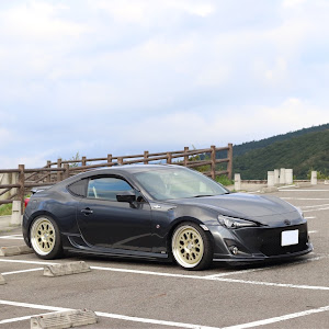 86 ZN6