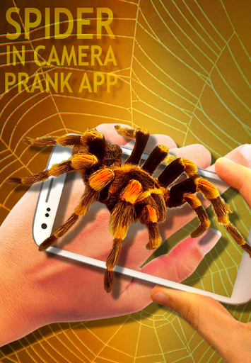 Spider Camera Scary Prank