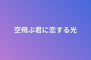 空飛ぶ君に恋する光