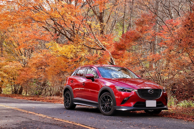 CX-3の紅葉見にいこうよう・紅葉と愛車・茶臼山・紅葉狩り🍁に関するカスタム事例の投稿画像3枚目
