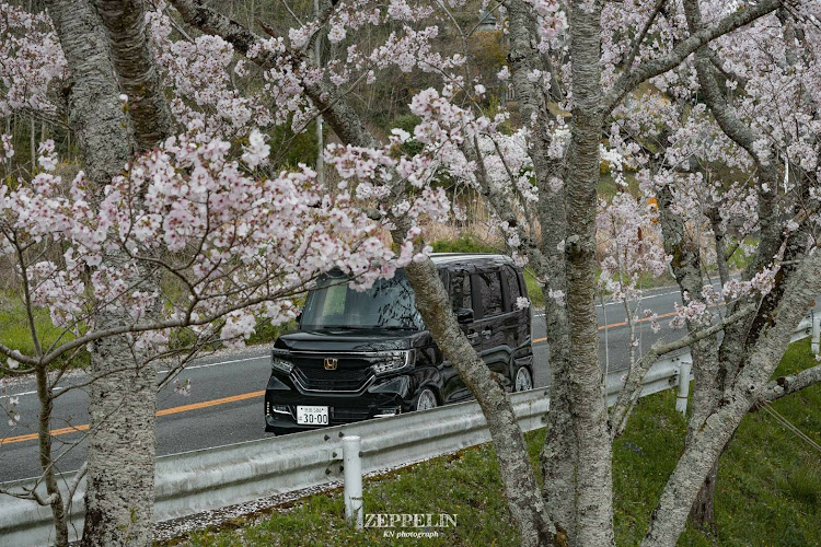 Nボックスカスタムの桜コラボ🌸・serenaコラボ🚘🚘・一眼レフ撮影Σp📷ω･´)に関するカスタム事例の投稿画像3枚目