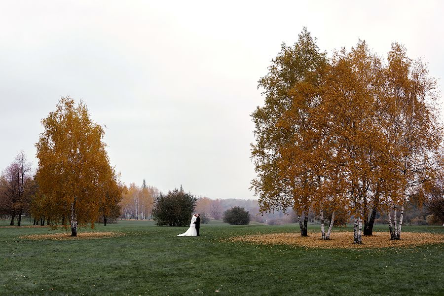 Wedding photographer Dmitriy Kochetkov (kochetkov). Photo of 4 December 2015