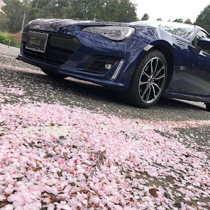 BRZ ZC6