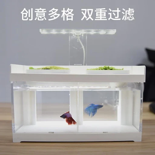 Creative Two-Grid Isolation Betta Tank Acrylic Desktop Ecological Filter Change Water with Light Heating Group Row Dedic