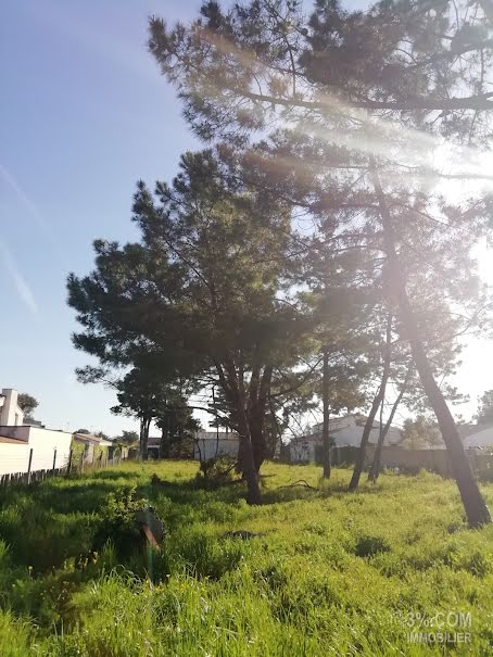 Vente terrain  1208 m² à Olonne-sur-Mer (85340), 267 800 €