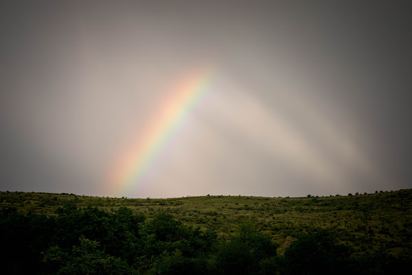 Le prime pennellate dell'arcobaleno di Bobp