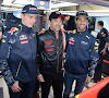 Onrust binnen Red Bull Racing stijgt: "Bang van Max Verstappen? Ik ben bang van slangen en haaien"